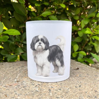 Shihtzu